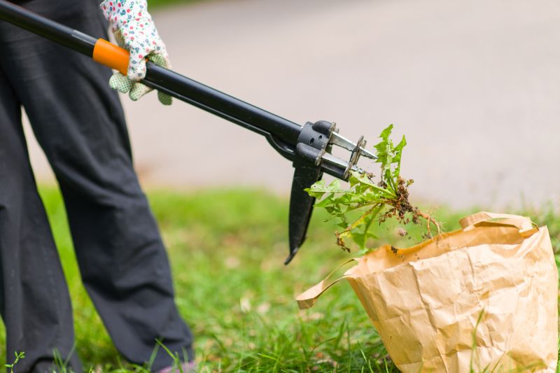 Earwig Elimination