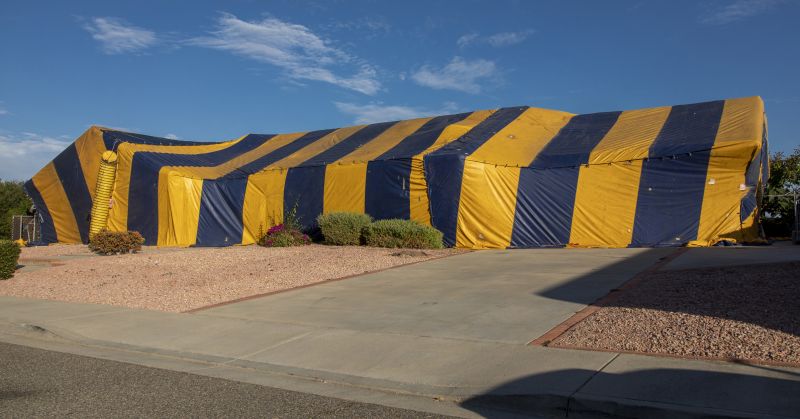 Termite Tenting in Toledo, OH