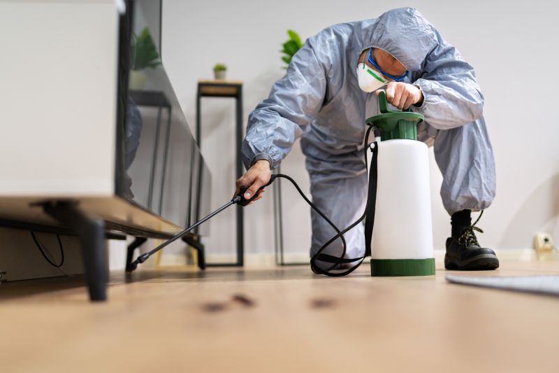 Roach Fumigation in Wilmington, DE